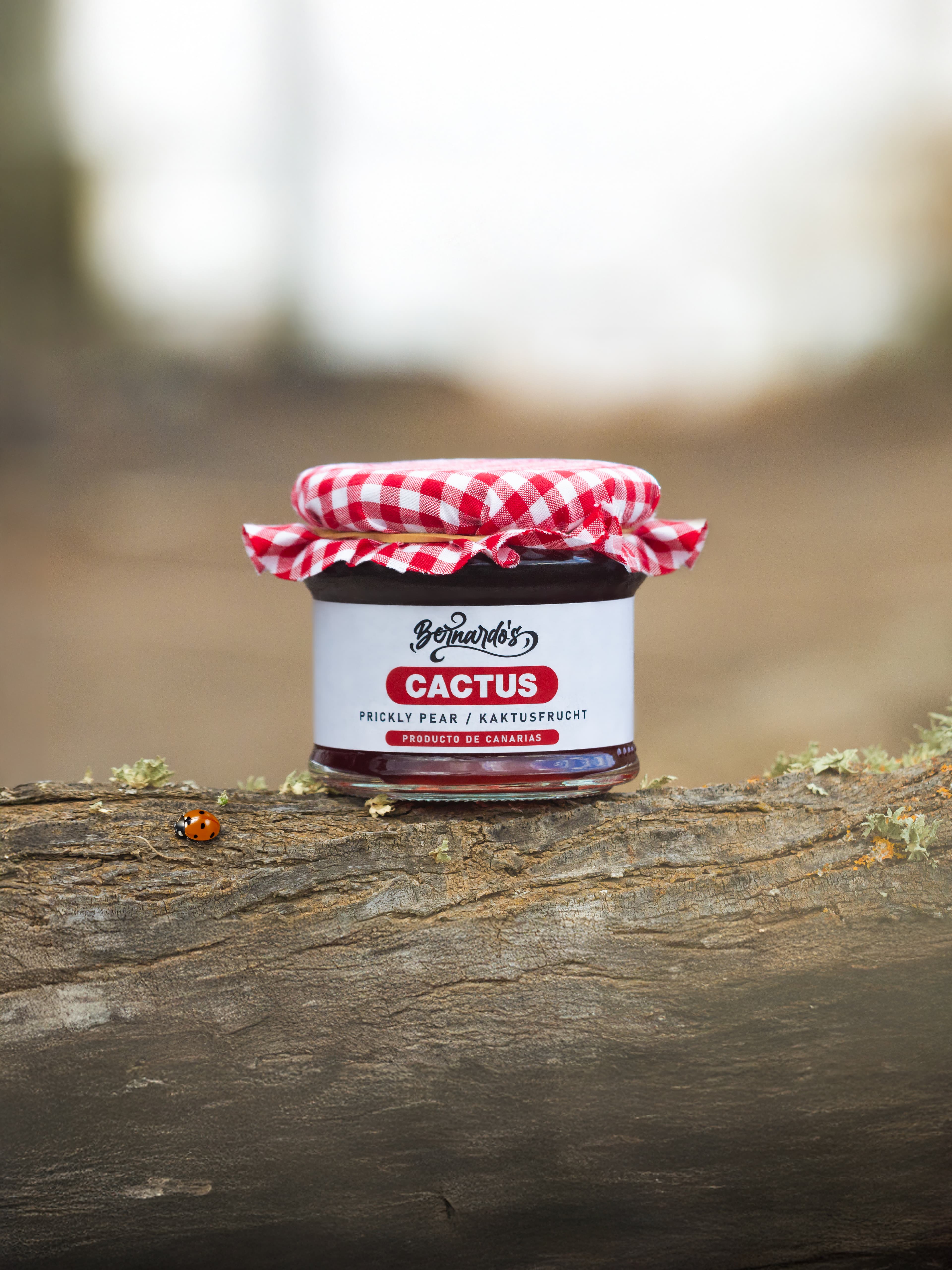 Confitura de cactus canario