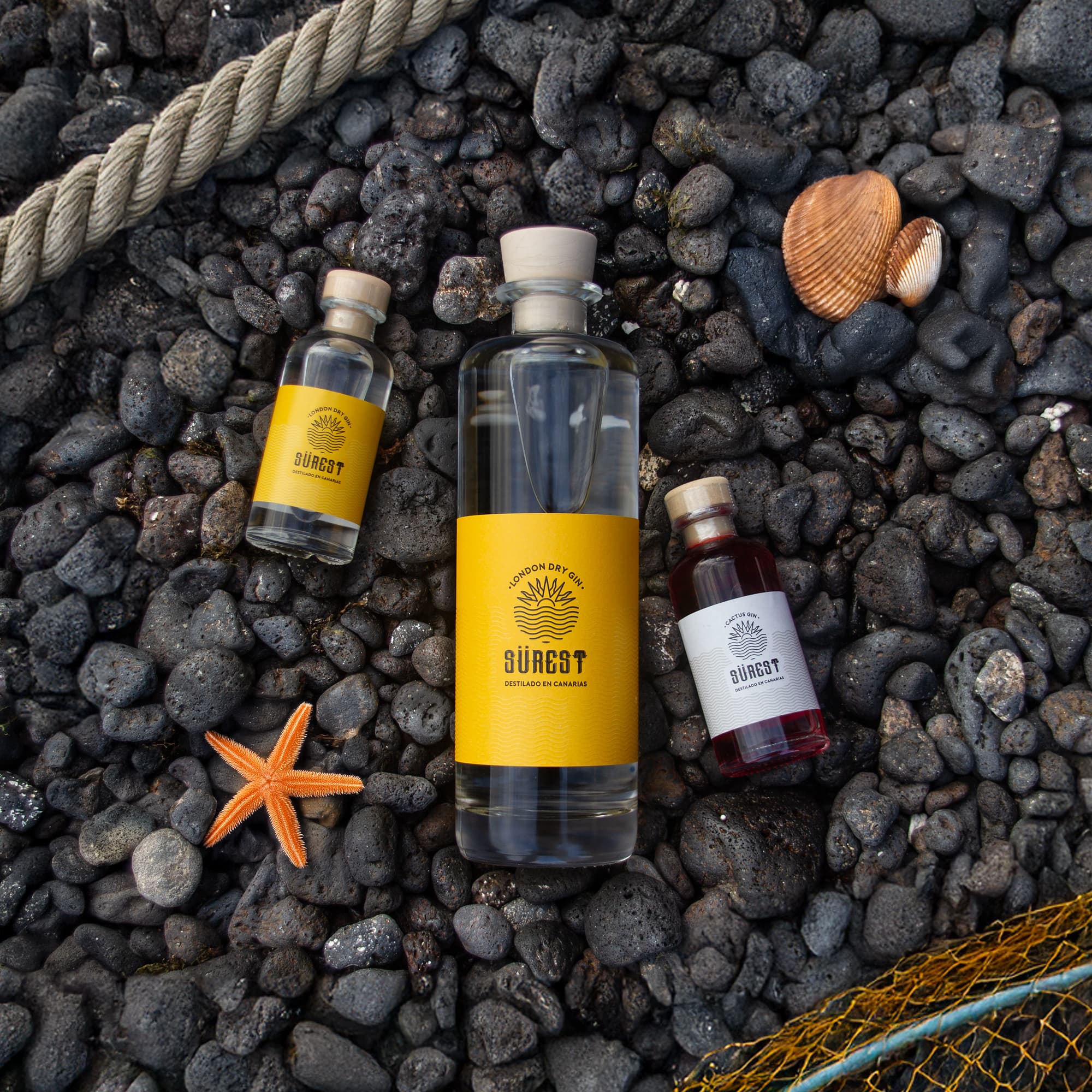 Surest Gin con cactus canario